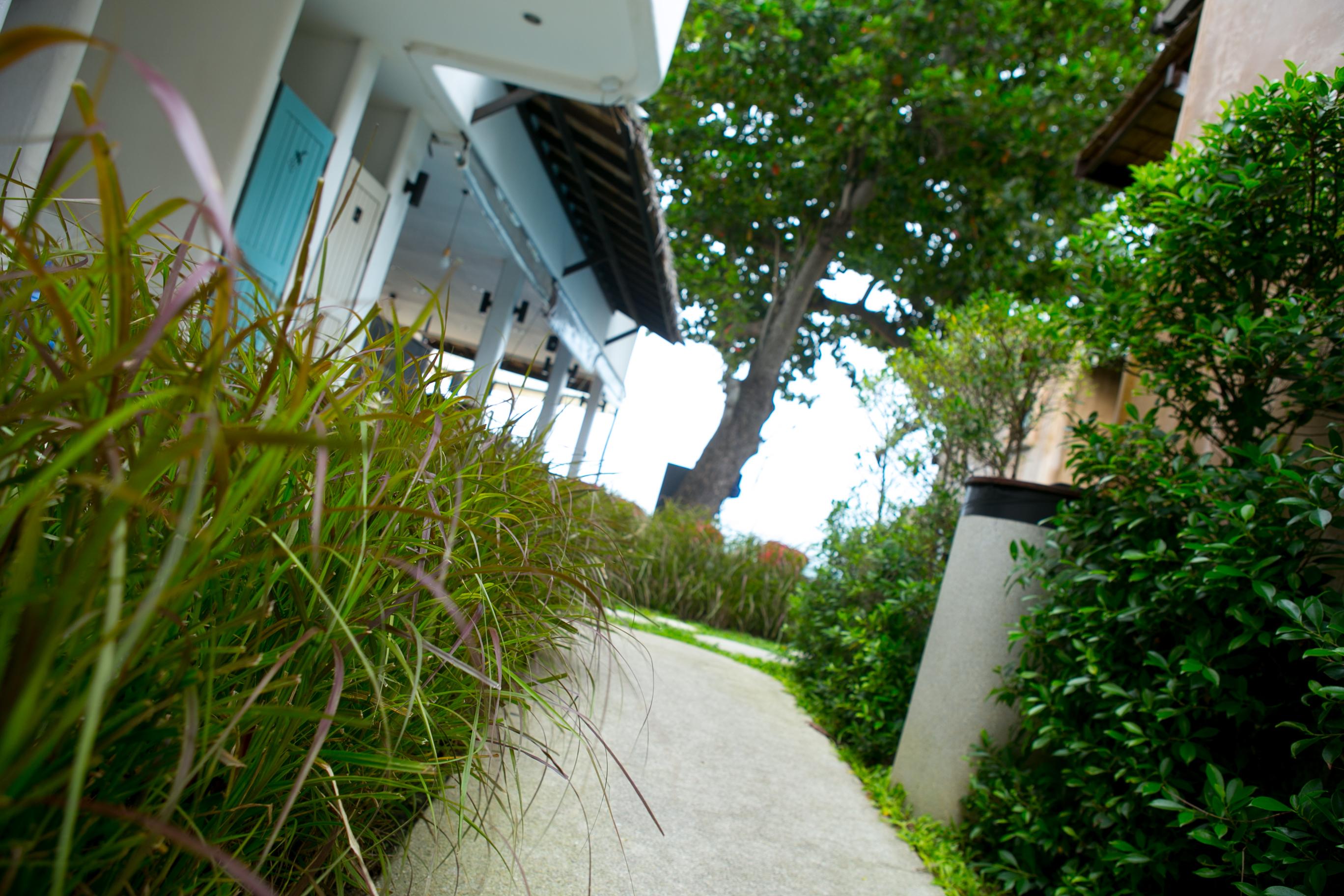 The Hammock Samui Beach Resort Ko Samui Exterior foto